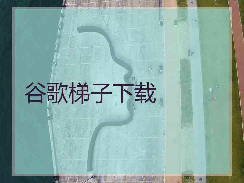 谷歌梯子下载