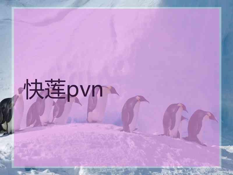 快莲pvn