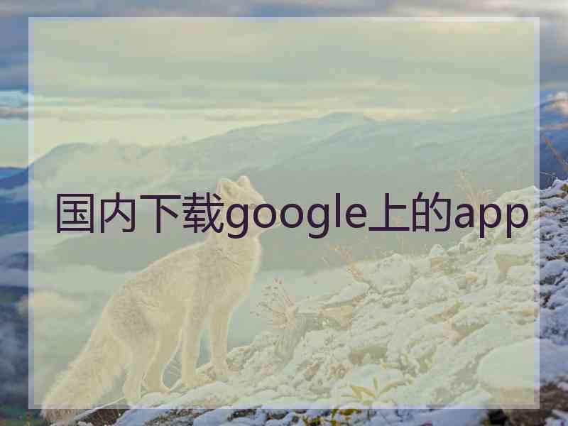 国内下载google上的app