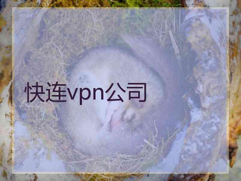 快连vpn公司