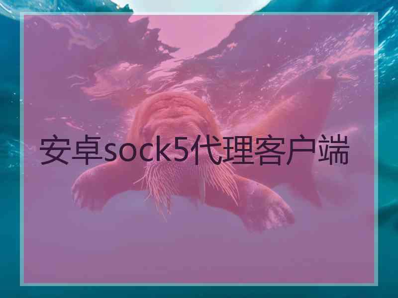 安卓sock5代理客户端