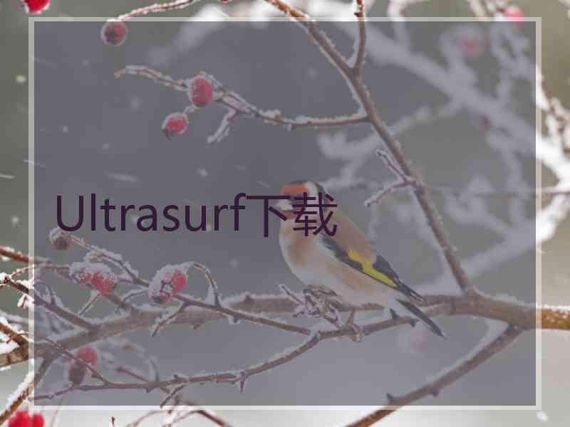 Ultrasurf下载