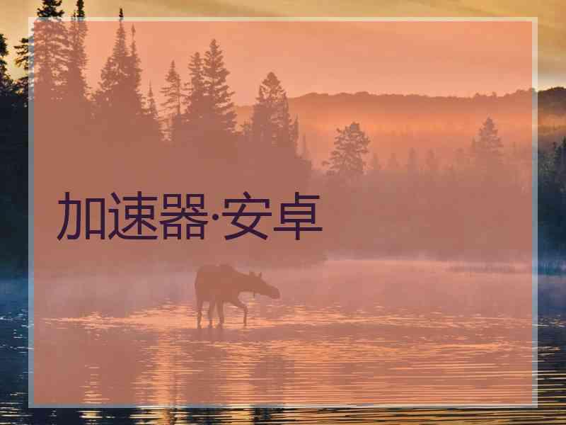 加速器·安卓