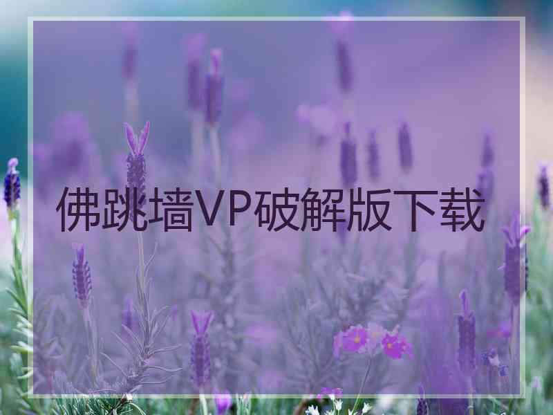 佛跳墙VP破解版下载