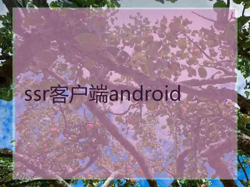 ssr客户端android