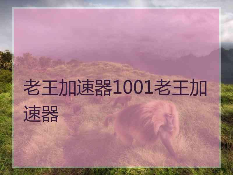 老王加速器1001老王加速器