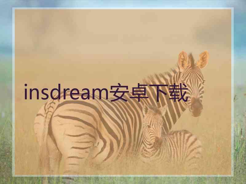 insdream安卓下载