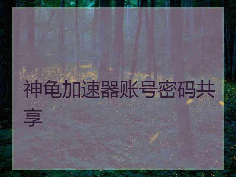 神龟加速器账号密码共享