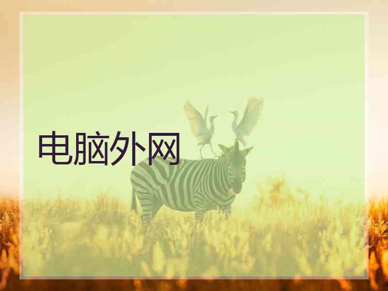 电脑外网