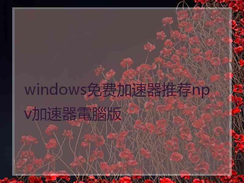 windows免费加速器推荐npv加速器電腦版