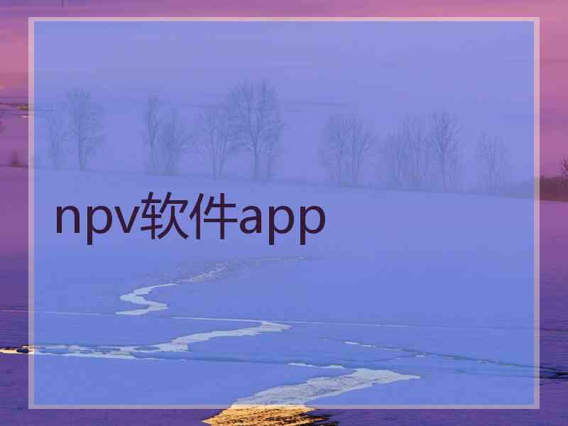 npv软件app