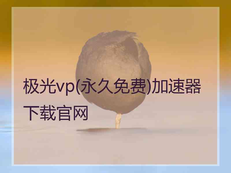 极光vp(永久免费)加速器下载官网