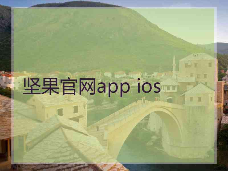 坚果官网app ios