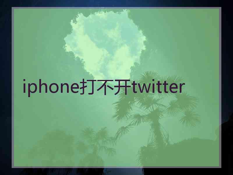 iphone打不开twitter