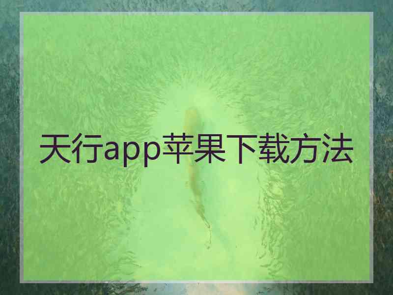 天行app苹果下载方法