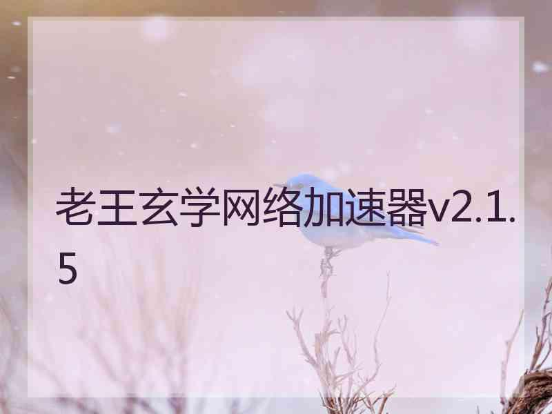 老王玄学网络加速器v2.1.5