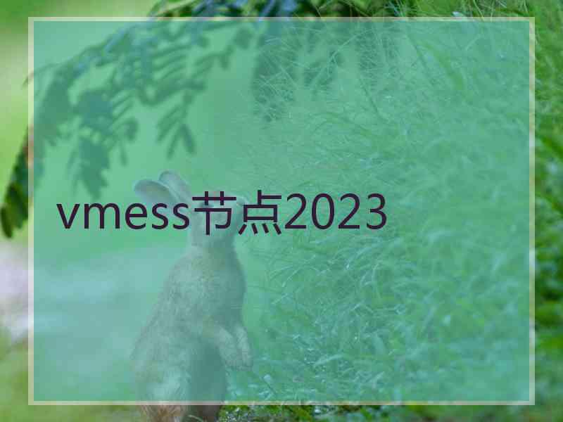 vmess节点2023