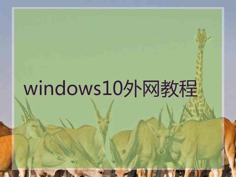 windows10外网教程