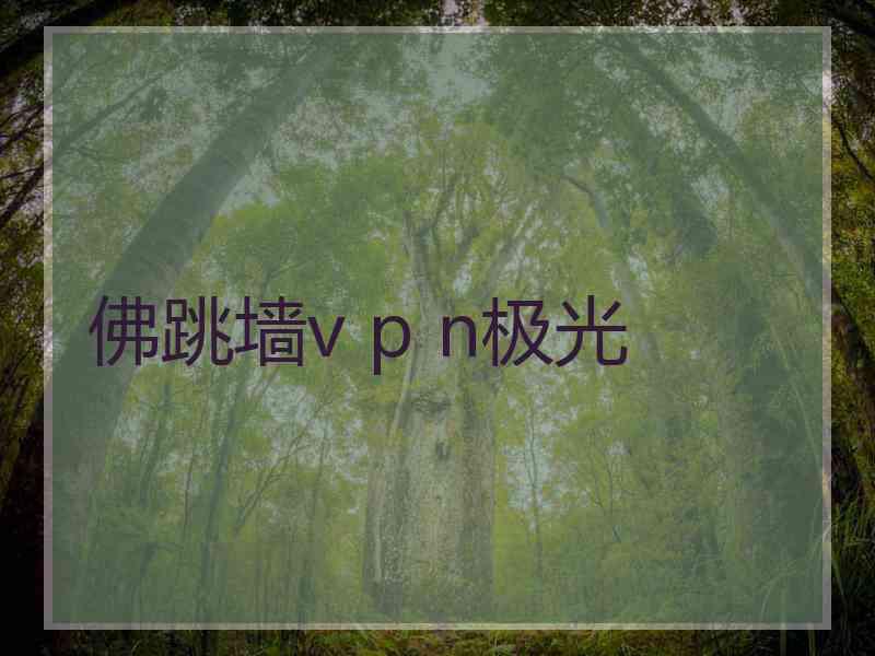 佛跳墙v p n极光