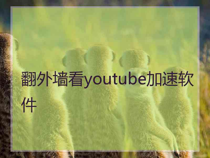 翻外墙看youtube加速软件