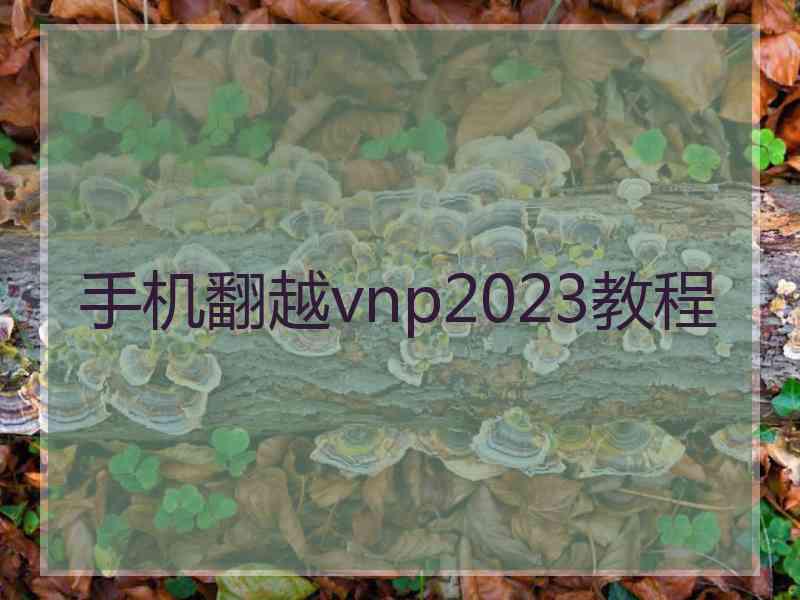 手机翻越vnp2023教程