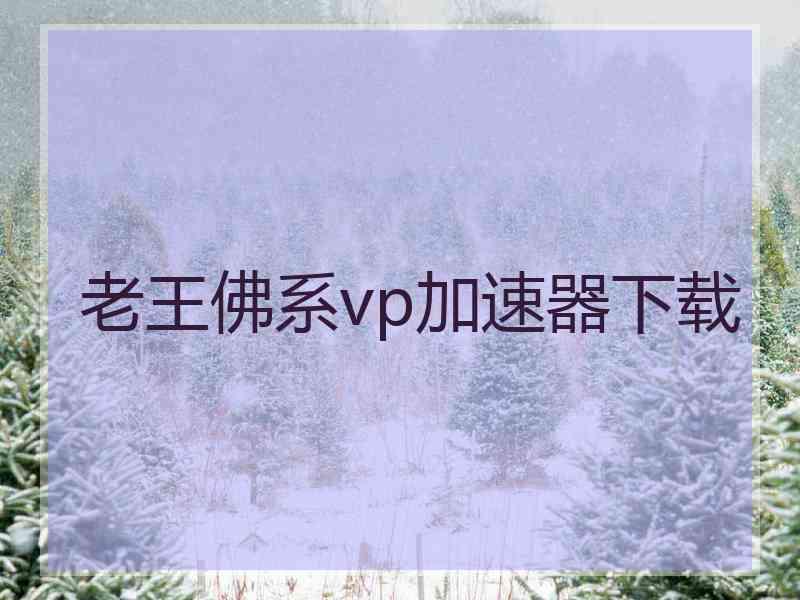 老王佛系vp加速器下载