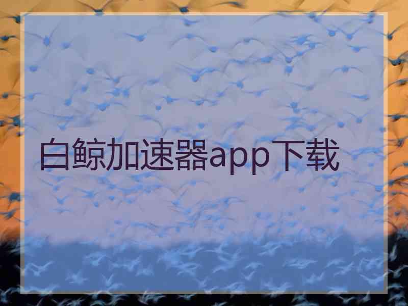 白鲸加速器app下载