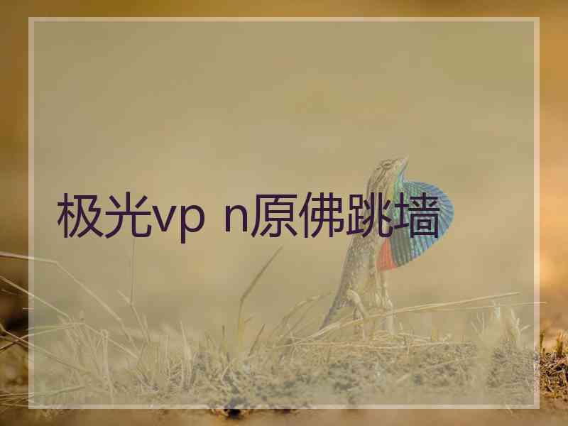 极光vp n原佛跳墙