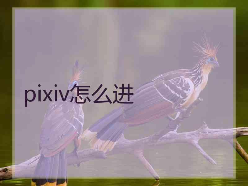 pixiv怎么进