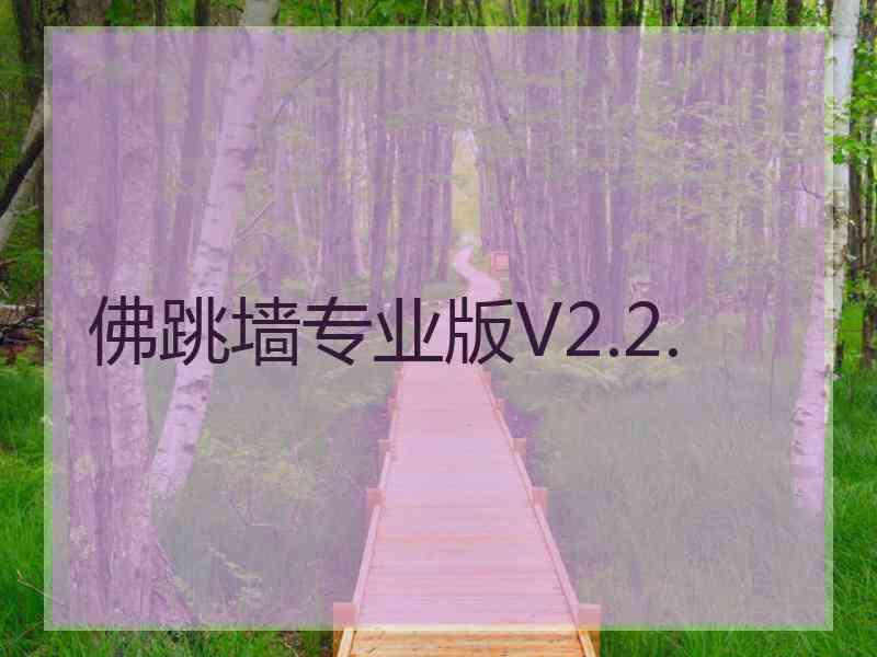 佛跳墙专业版V2.2.