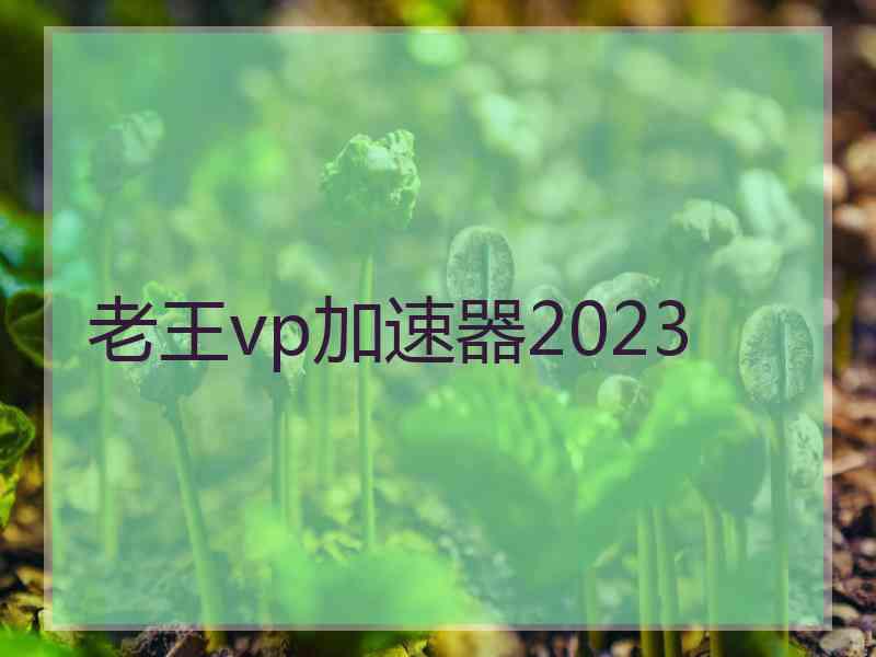 老王vp加速器2023