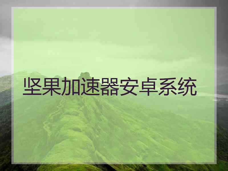 坚果加速器安卓系统