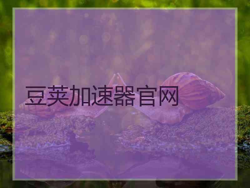 豆荚加速器官网