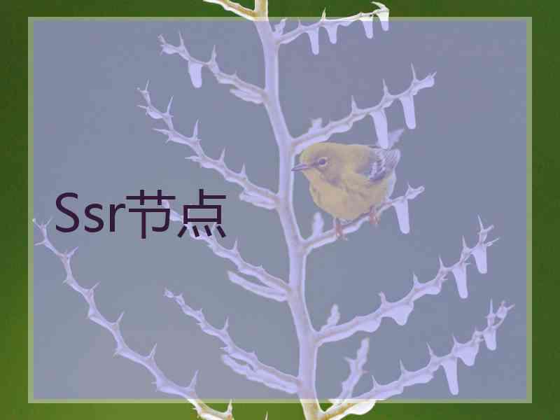 Ssr节点