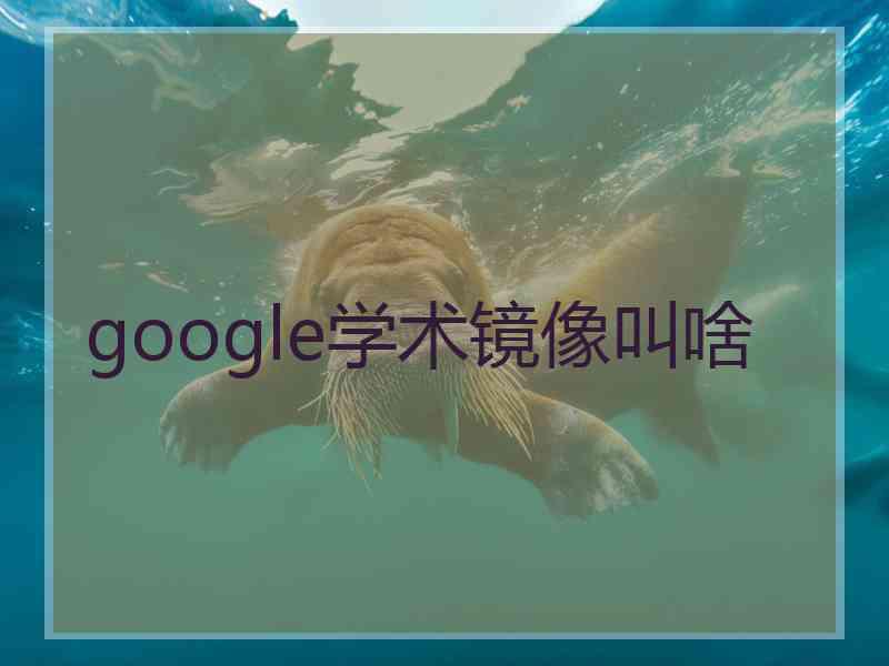 google学术镜像叫啥