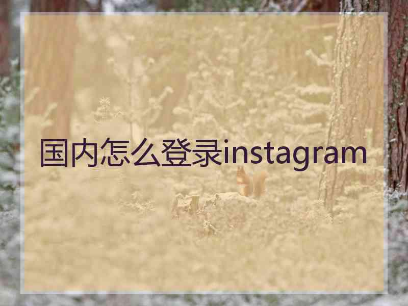 国内怎么登录instagram