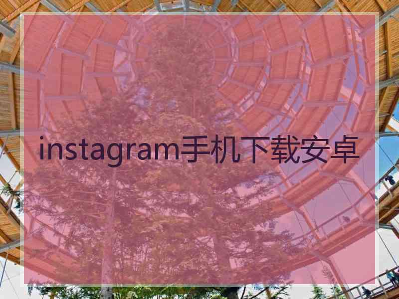 instagram手机下载安卓