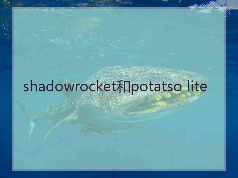 shadowrocket和potatso lite