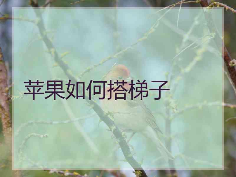 苹果如何搭梯子