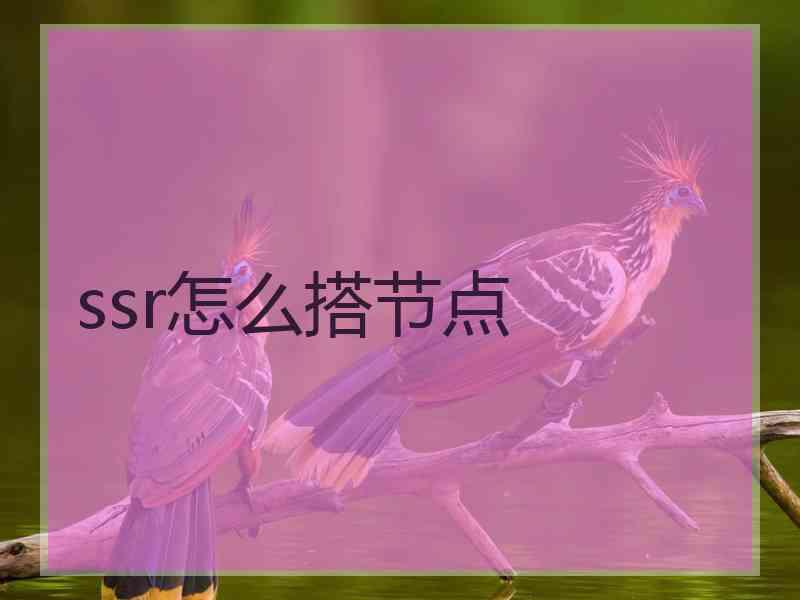 ssr怎么搭节点