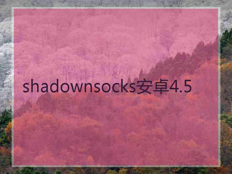 shadownsocks安卓4.5