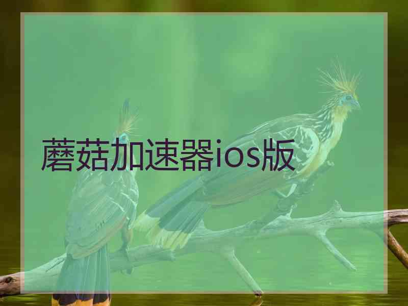 蘑菇加速器ios版