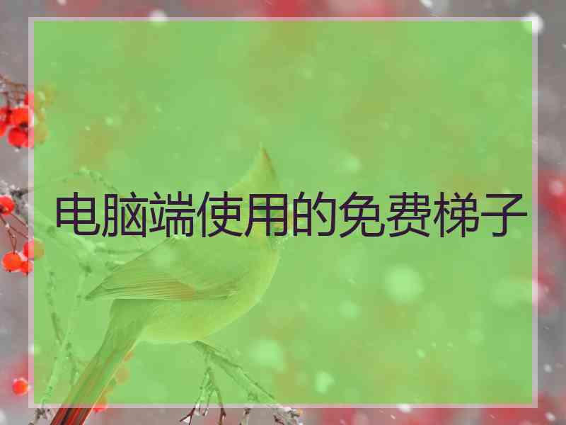 电脑端使用的免费梯子