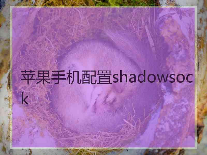 苹果手机配置shadowsock