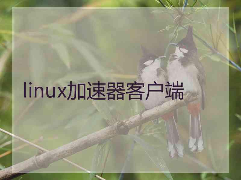 linux加速器客户端