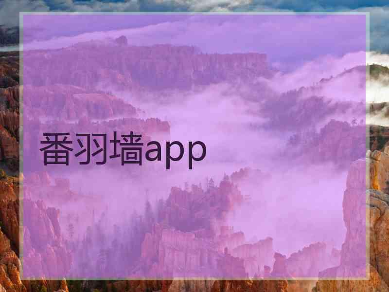 番羽墙app