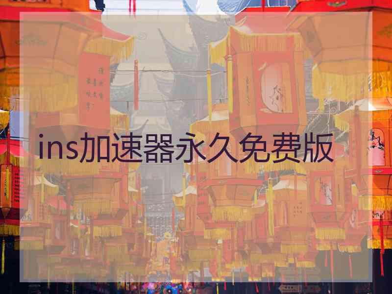 ins加速器永久免费版