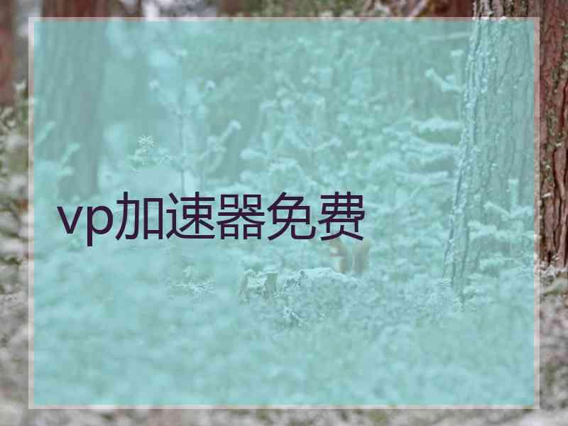 vp加速器免费