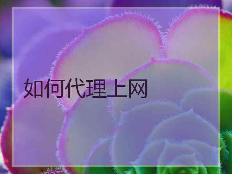 如何代理上网