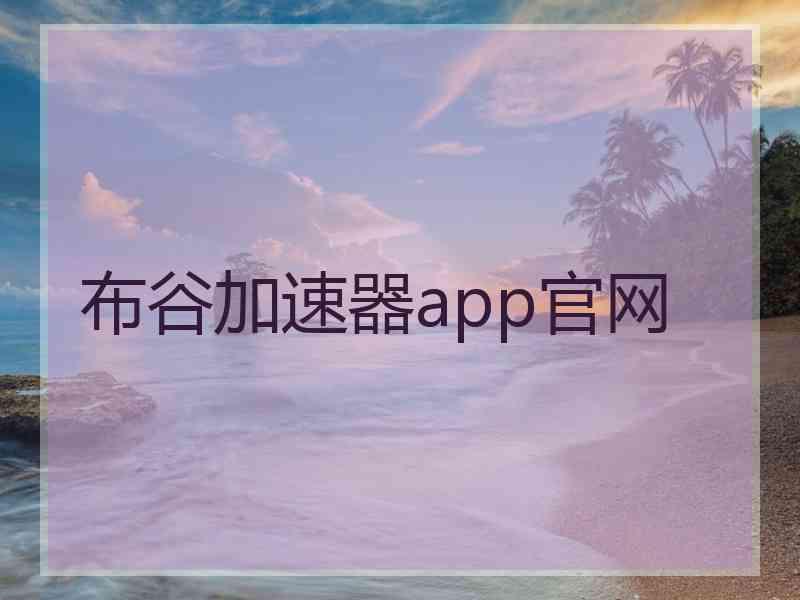 布谷加速器app官网